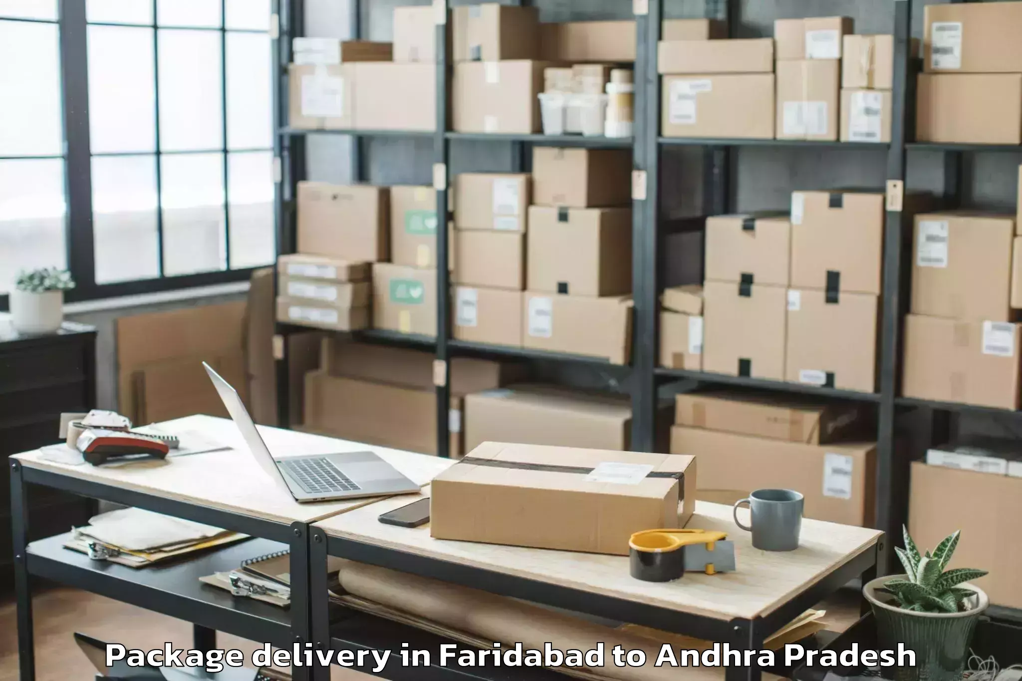 Professional Faridabad to Obuladevaracheruvu Package Delivery